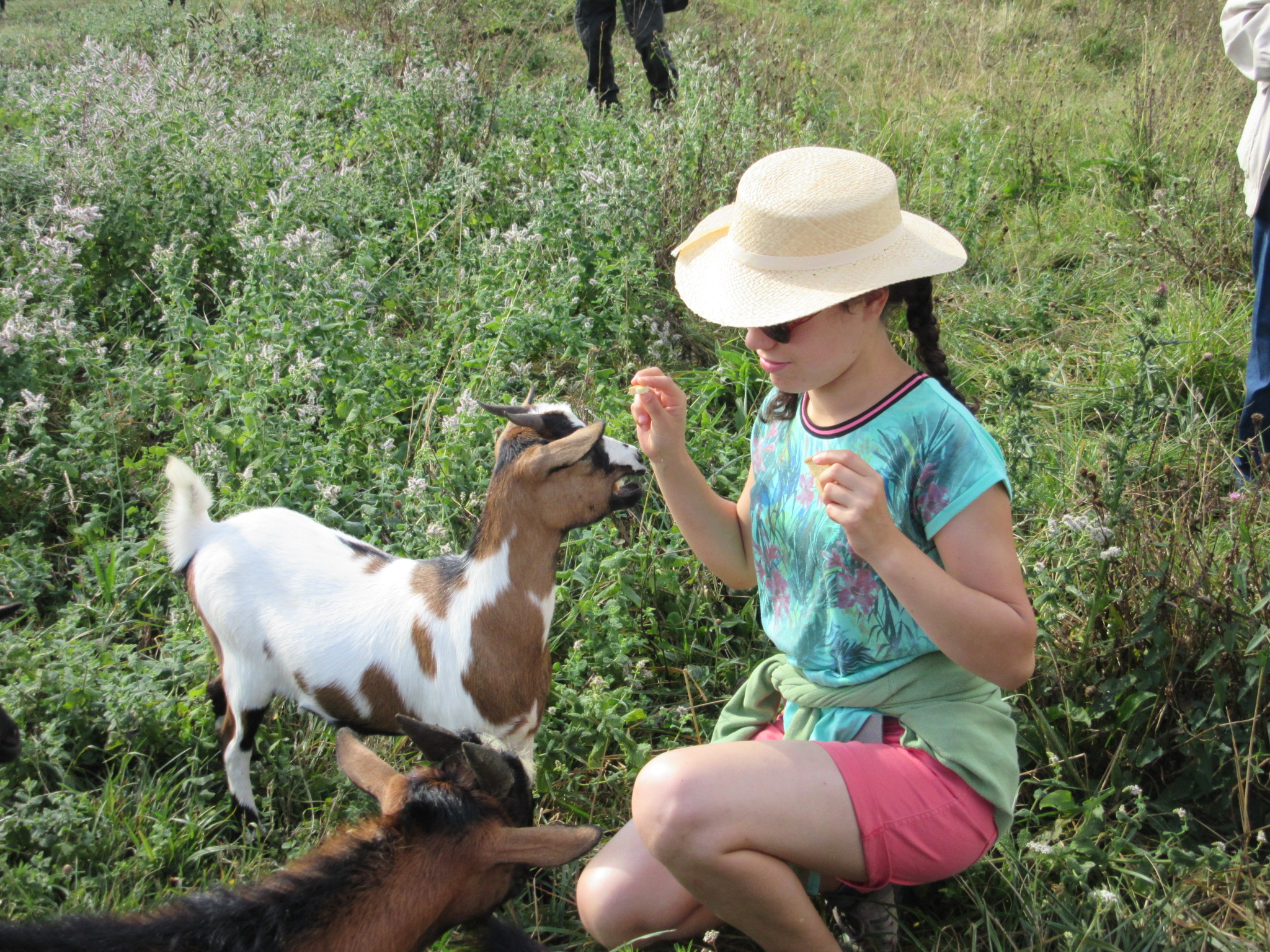 Laurie s'amusant avec une chévre